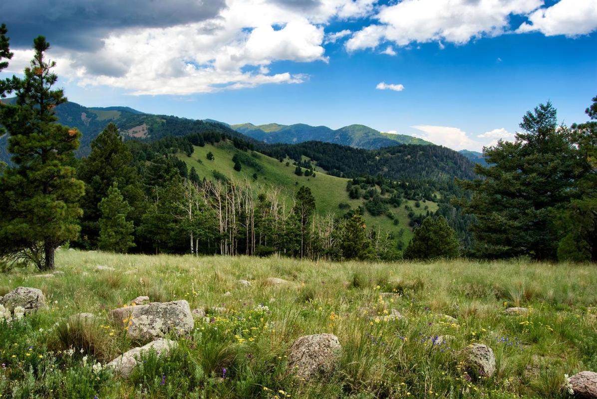 Alpine Cabin, 3 Bedrooms, Deck, Sleeps 8 Ruidoso Esterno foto